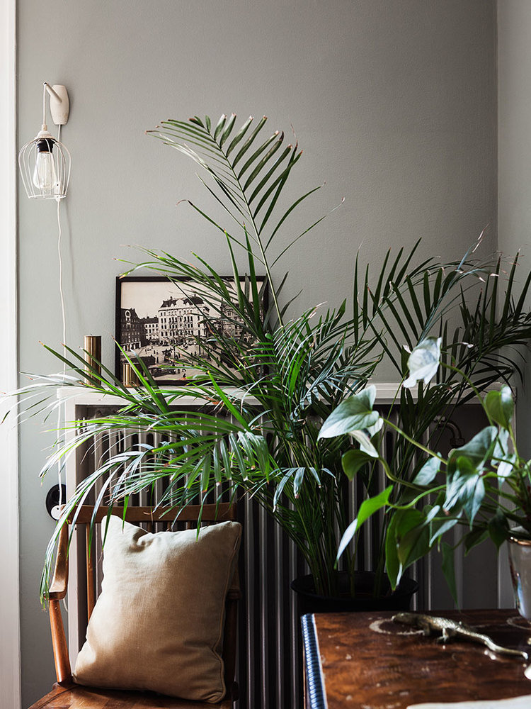 Фотография: в стиле , Кухня и столовая, Гостиная, Спальня, Скандинавский, Эклектика, Декор интерьера, Квартира, Швеция, Декор, Зеленый, Стокгольм, как создать уютную атмосферу, как обустроить двухкомнатную квартиру, 2 комнаты, 40-60 метров, как сочетать орнаменты – фото на INMYROOM