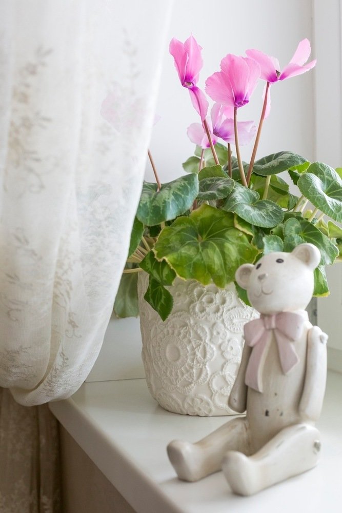 Фотография: Декор в стиле Прованс и Кантри, Дом, Дома и квартиры – фото на INMYROOM