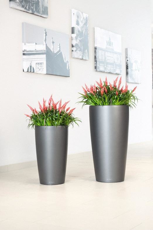Фото из портфолио Кашпо для растений LECHUZA (Лечуза) RONDO (Рондо) – фотографии дизайна интерьеров на INMYROOM