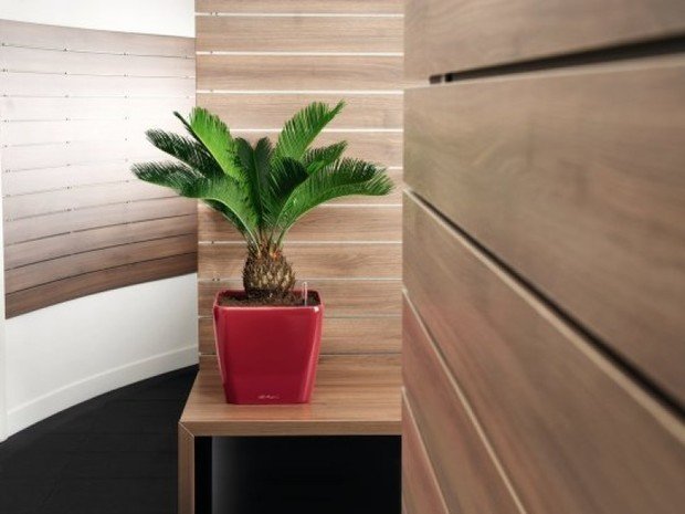 Фото из портфолио Кашпо LECHUZA (Лечуза) QUADRO LS – фотографии дизайна интерьеров на INMYROOM