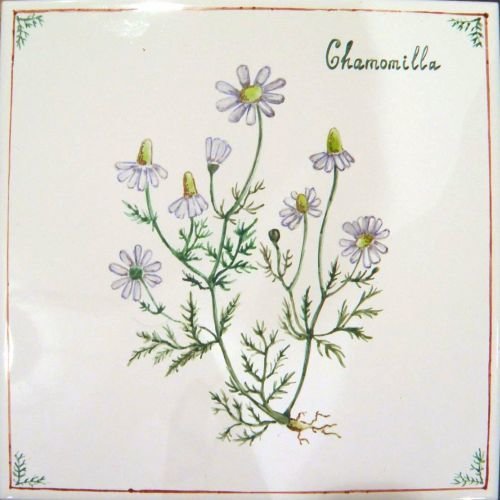 Фото из портфолио Изразцы – фотографии дизайна интерьеров на INMYROOM