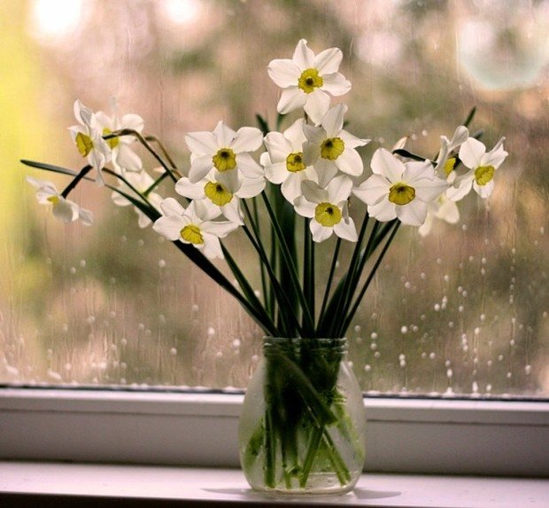 Фото из портфолио Что меня вдохновляет – фотографии дизайна интерьеров на INMYROOM