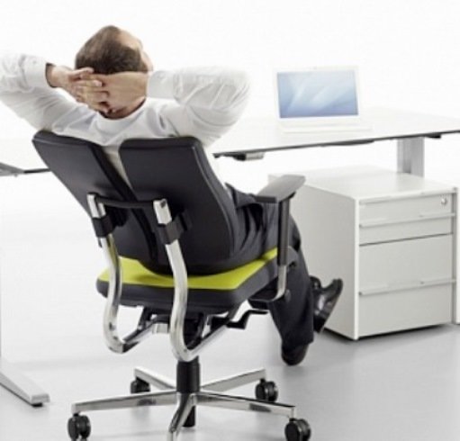 Фото из портфолио DUO-BACK BALANCE ® – фотографии дизайна интерьеров на InMyRoom.ru