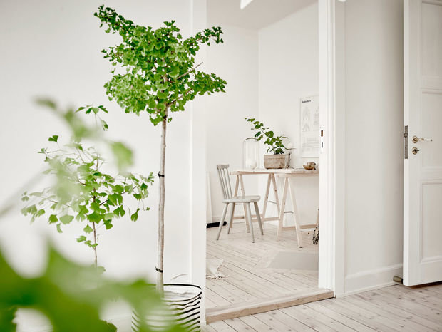 Фото из портфолио Квартира, хранящая историю поколений... – фотографии дизайна интерьеров на INMYROOM