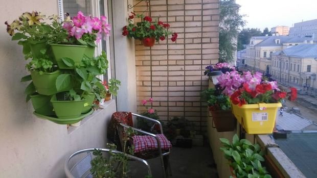 Фото из портфолио Ландшафтные работы ... на балконе – фотографии дизайна интерьеров на INMYROOM