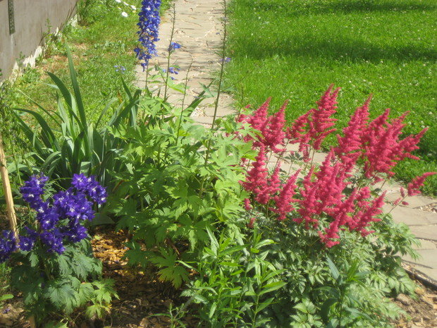 Фото из портфолио озеленение – фотографии дизайна интерьеров на INMYROOM