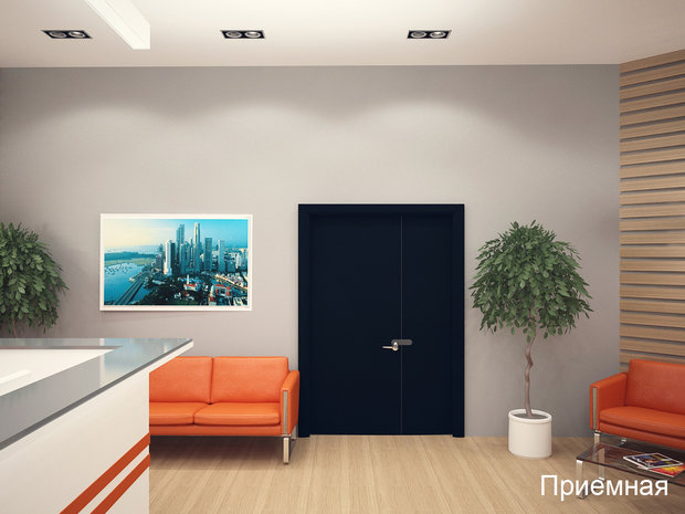 Фото из портфолио Приемная – фотографии дизайна интерьеров на INMYROOM