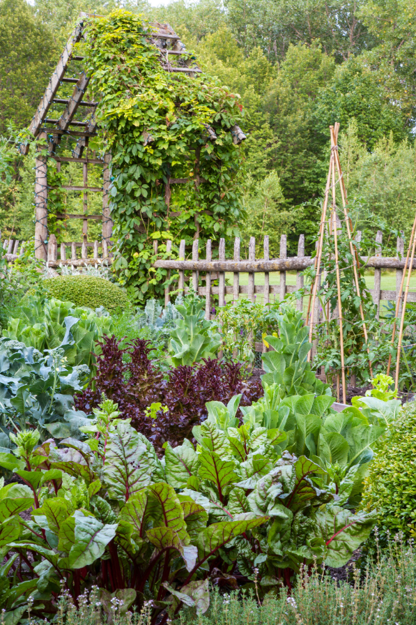 Дизайн: Mariani Landscape