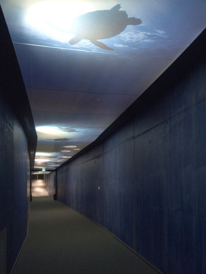 Фотография: Прихожая в стиле Минимализм, Дизайн интерьера, Потолок – фото на INMYROOM