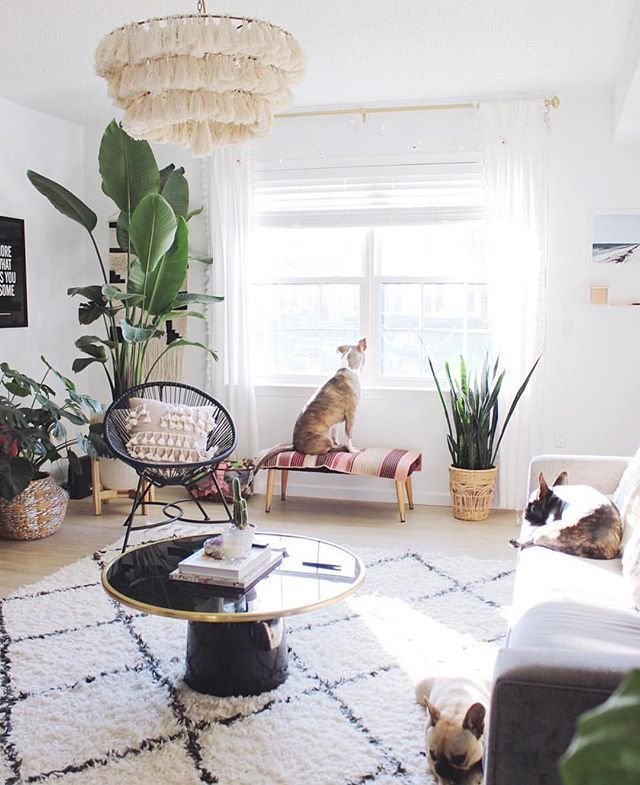 Фотография: Гостиная в стиле Скандинавский, Советы, REHAU, жара, как пережить жару, как пережить жару без кондиционера – фото на INMYROOM Фотография: Гостиная в стиле Скандинавский, Советы, REHAU, жара, как пережить жару, как пережить жару без кондиционера – фото на INMYROOM