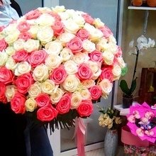 Фото из портфолио цветы – фотографии дизайна интерьеров на INMYROOM
