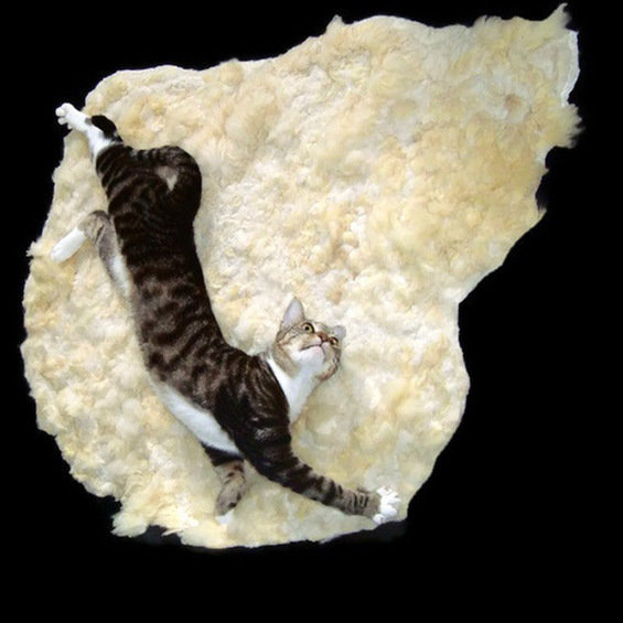 Фотография: в стиле , Спальня, Декор интерьера, DIY, Декор дома, Ковер – фото на INMYROOM Фотография: в стиле , Спальня, Декор интерьера, DIY, Декор дома, Ковер – фото на INMYROOM