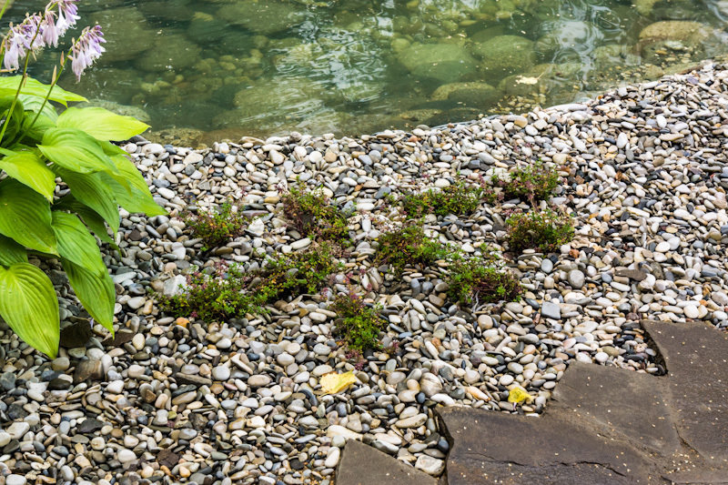 Фотография: Ландшафт в стиле Современный, Дачный ответ, Беседка – фото на INMYROOM Фотография: Ландшафт в стиле Современный, Дачный ответ, Беседка – фото на INMYROOM