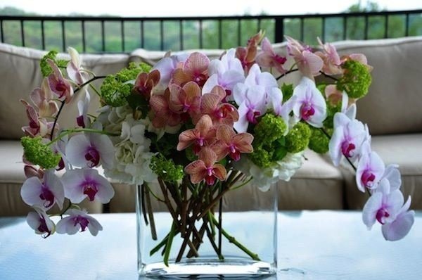 Фотография: Флористика в стиле , Стиль жизни, Советы, Цветы – фото на INMYROOM Фотография: Флористика в стиле , Стиль жизни, Советы, Цветы – фото на INMYROOM