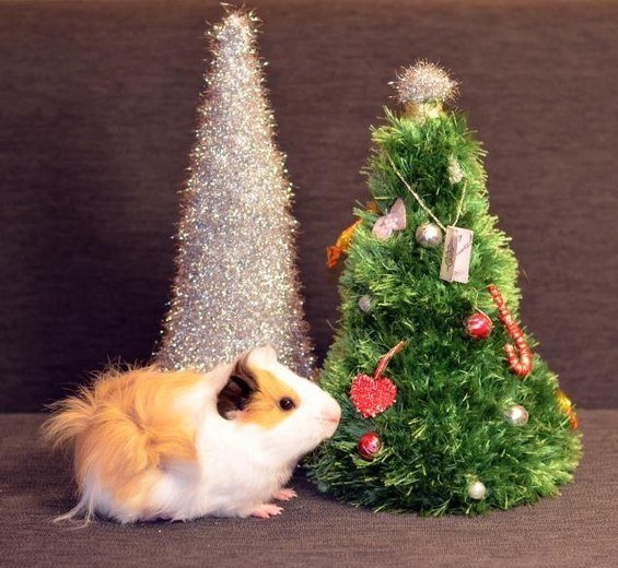 Фотография: Аксессуары в стиле Современный – фото на INMYROOM