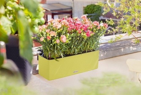 BALCONISSIMA Color: кашпо для растений LECHUZA (Лечуза)