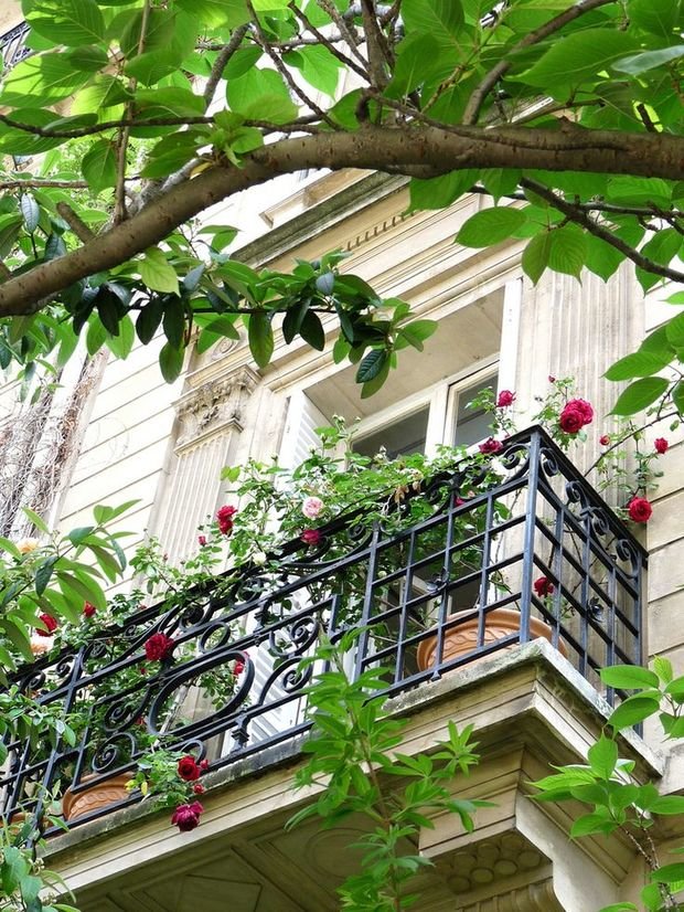 Фотография: Балкон, Терраса в стиле Прованс и Кантри, Интерьер комнат – фото на INMYROOM