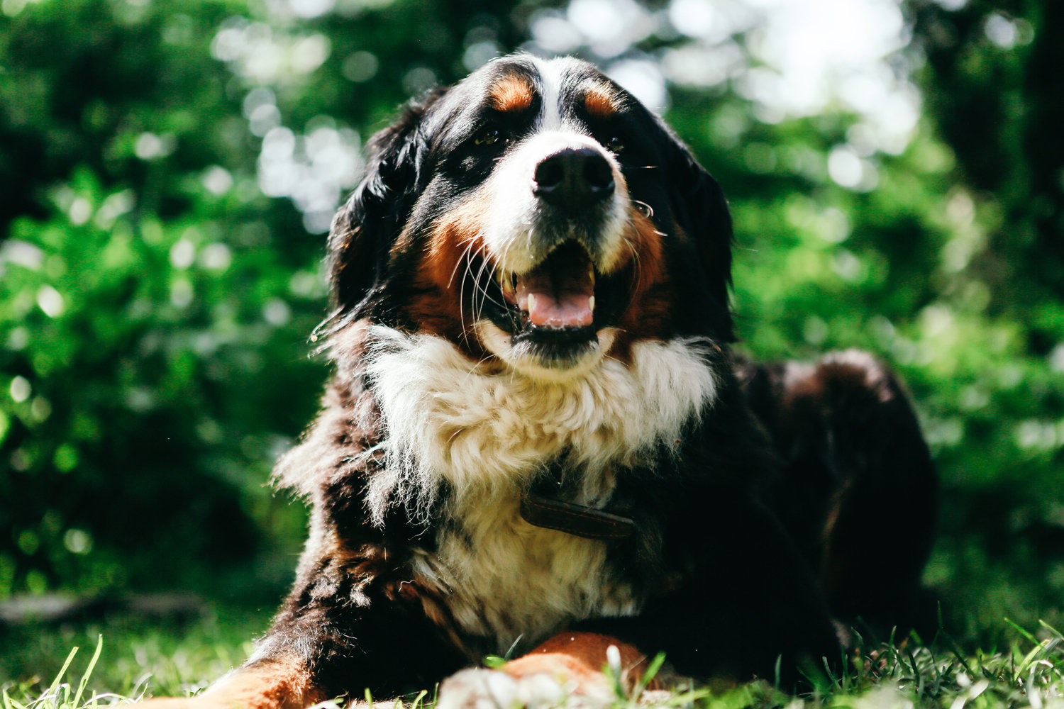 Фотография: в стиле , Проект недели, Дача, Фазенда, Артур Агубянц, АРТПЛАННЕР – фото на INMYROOM