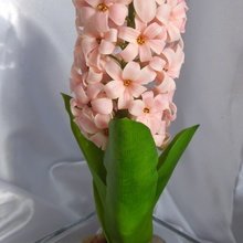 Фото из портфолио Цветы из холодного фарфора – фотографии дизайна интерьеров на INMYROOM