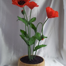 Фото из портфолио Цветы из холодного фарфора – фотографии дизайна интерьеров на INMYROOM