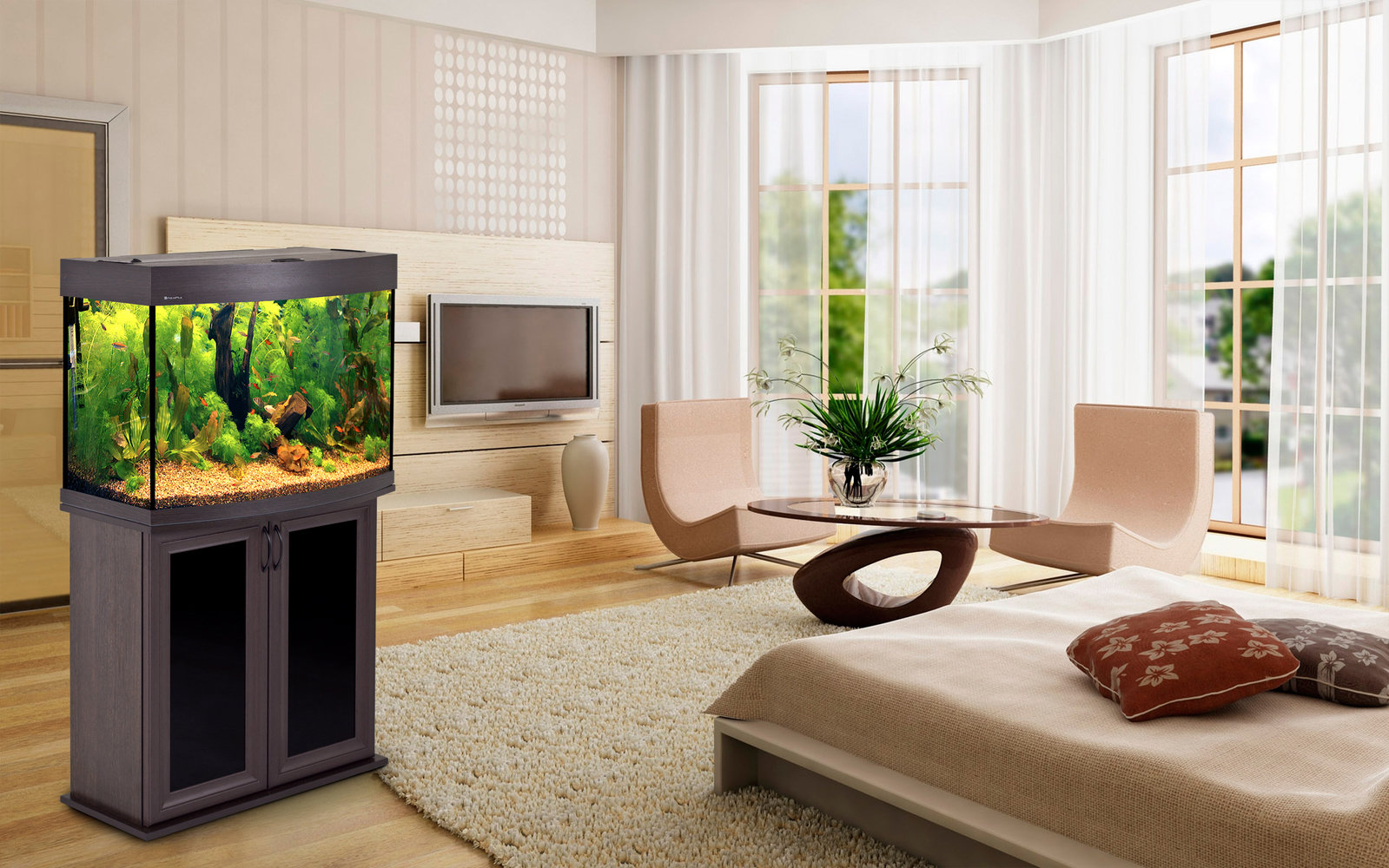 Фотография: в стиле , Советы – фото на INMYROOM