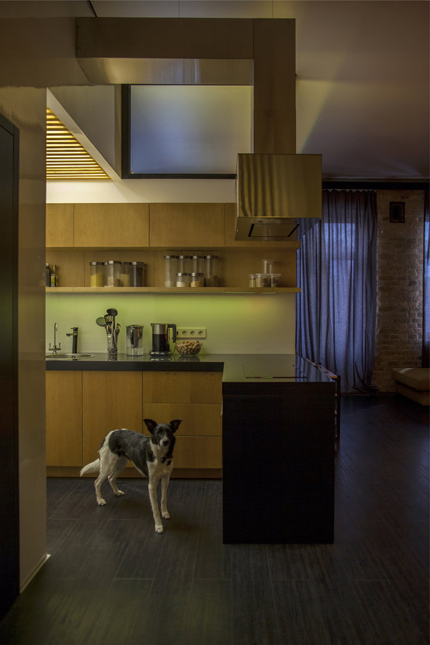 Фотография: Кухня и столовая в стиле Лофт, Современный, Квартира, Студия, Украина, Планировки, Минимализм, Проект недели, Черный, Зеленый, Бежевый, Желтый, Серый, Коричневый, Киев, Эко, Алексей Быков – фото на INMYROOM