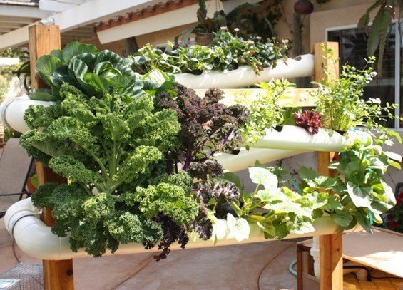 Фотография: Флористика в стиле , Балкон, Стиль жизни – фото на INMYROOM