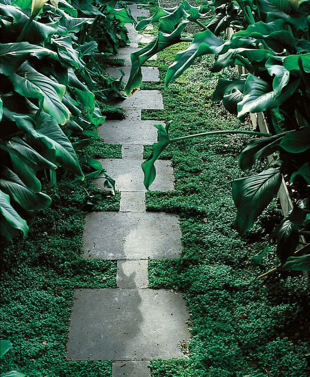 Фотография: Ландшафт в стиле , Советы, ландшафтные работы, Благоустройство территории, Ландшафтный дизайн, как обустроить участок, Татьяна Крамская, Технониколь, Дорожки в саду – фото на INMYROOM