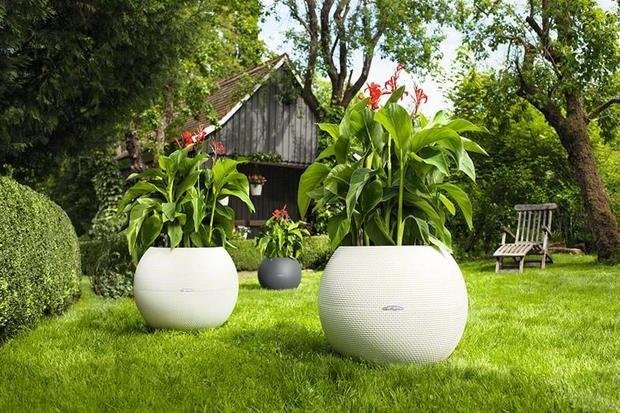 Фото из портфолио Кашпо с автополивом LECHUZA (Лечуза) PURO 50 – фотографии дизайна интерьеров на INMYROOM