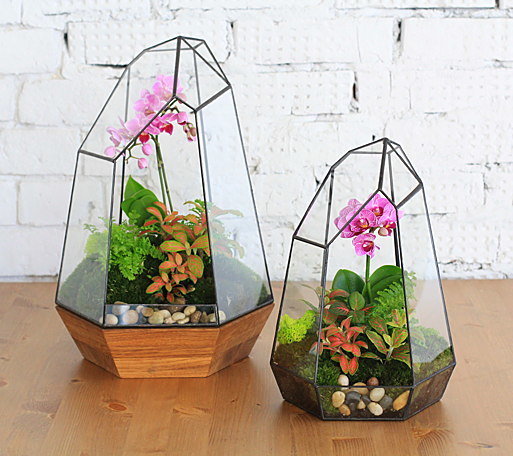 Фотография: Флористика в стиле , Декор, Маркет, Гид, handmade декор, Ламбада – фото на INMYROOM