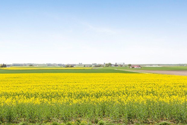 Фото из портфолио Вилла "Вила", Grimshögsvägen 264 – фотографии дизайна интерьеров на INMYROOM