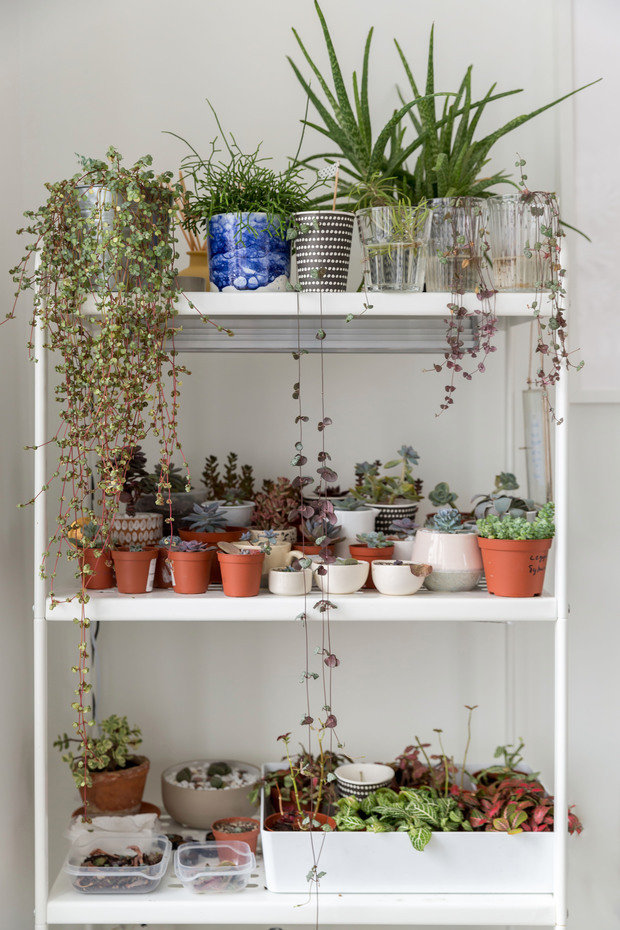 Фотография: Флористика в стиле , Скандинавский, Квартира, Проект недели, Москва, Герой InMyRoom, Хрущевка, 2 комнаты, до 40 метров, Ульяна Гришина, Наталья Чувинова – фото на INMYROOM