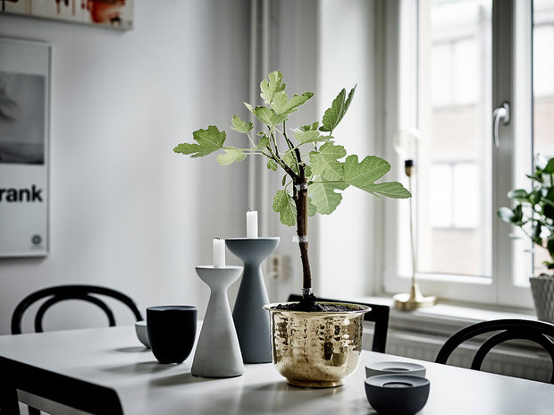 Фото из портфолио Белые стены – лучший друг тех, кто любит периодически менять интерьер! – фотографии дизайна интерьеров на INMYROOM