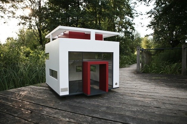 Фотография: в стиле Современный, Стиль жизни, Советы – фото на INMYROOM Фотография: в стиле Современный, Стиль жизни, Советы – фото на INMYROOM