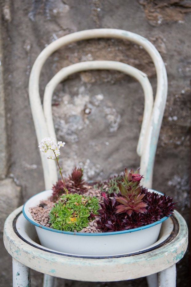 Фото из портфолио Милые и дорогие сердцу мелочи... Детали интерьера – фотографии дизайна интерьеров на INMYROOM