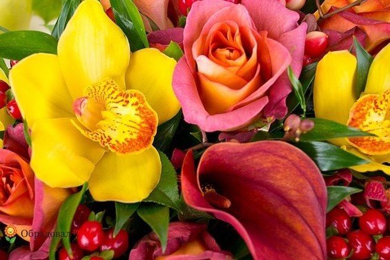 Фотография: Флористика в стиле  – фото на INMYROOM