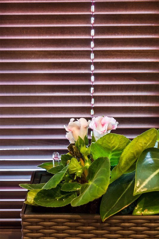 Фотография: Декор в стиле Современный, Спальня, Декор интерьера, Интерьер комнат, Проект недели – фото на INMYROOM Фотография: Декор в стиле Современный, Спальня, Декор интерьера, Интерьер комнат, Проект недели – фото на INMYROOM