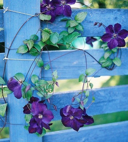 Фото из портфолио Мои работы. – фотографии дизайна интерьеров на INMYROOM