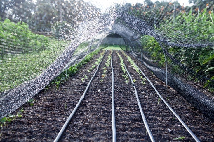 Фотограф: Эмили Холл