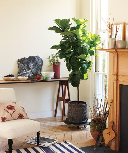 Фотография: Флористика в стиле , Декор интерьера, Декор, Советы – фото на INMYROOM