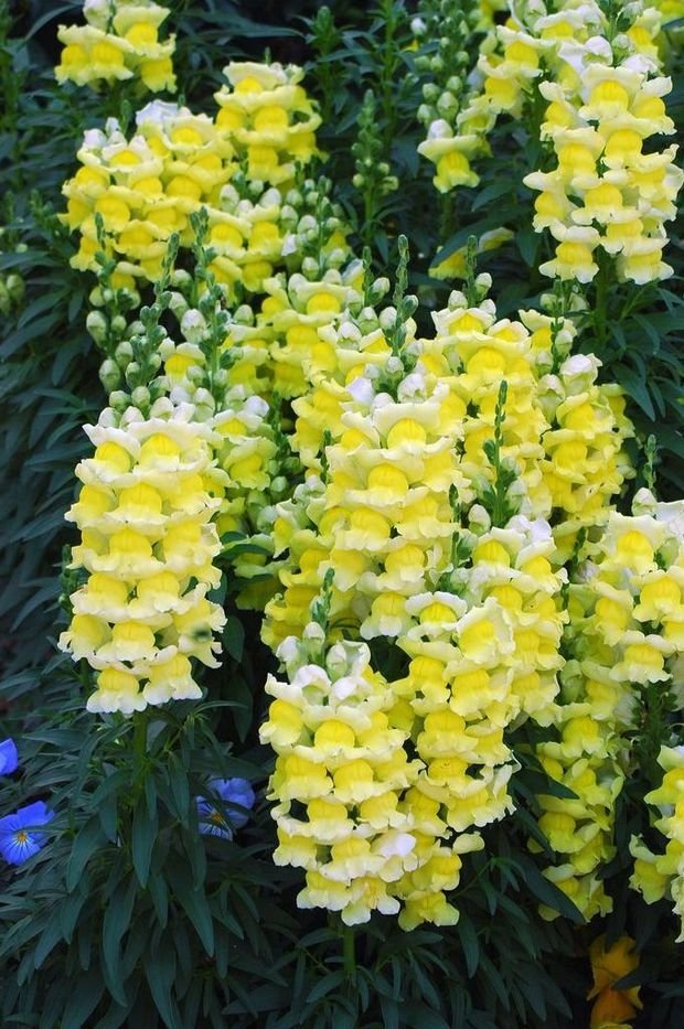 Фото из портфолио Портфолио – фотографии дизайна интерьеров на INMYROOM