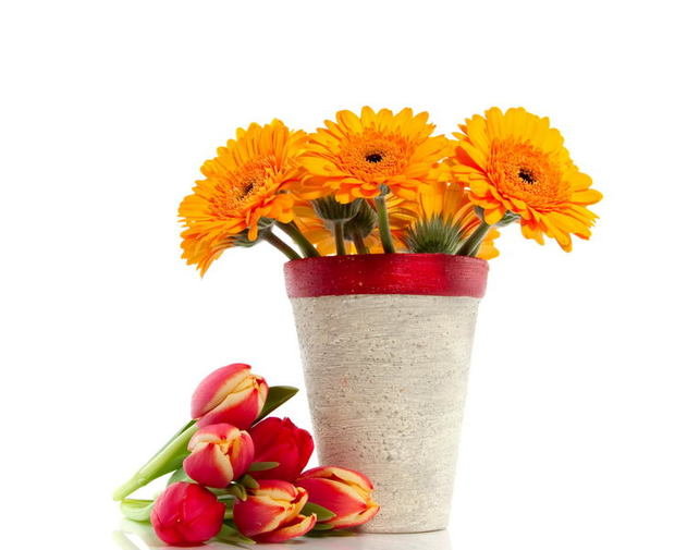 Фотография: Флористика в стиле , Декор интерьера, DIY, Дом, Стиль жизни – фото на INMYROOM