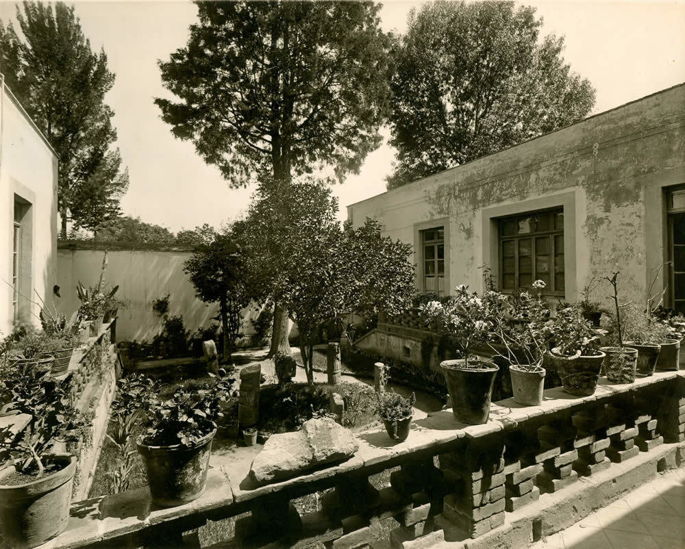 Фотография: в стиле , Декор и DIY, Дом, Голубой, Мексика, Дом и дача, Мехико, Фрида Кало – фото на INMYROOM