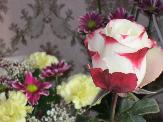 Фото из портфолио Вещи, которые я хочу – фотографии дизайна интерьеров на INMYROOM