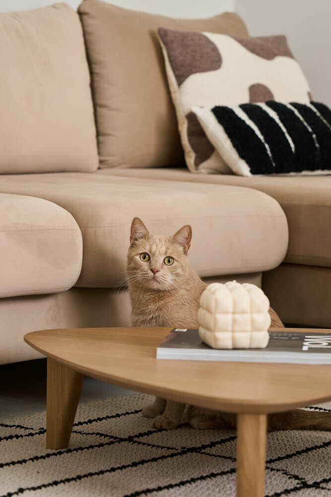 Фотография: Гостиная в стиле Скандинавский, Современный, Квартира, Проект недели, Москва, 2 комнаты, 40-60 метров, Designbox, Анастасия Громова – фото на INMYROOM Фотография: Гостиная в стиле Скандинавский, Современный, Квартира, Проект недели, Москва, 2 комнаты, 40-60 метров, Designbox, Анастасия Громова – фото на INMYROOM