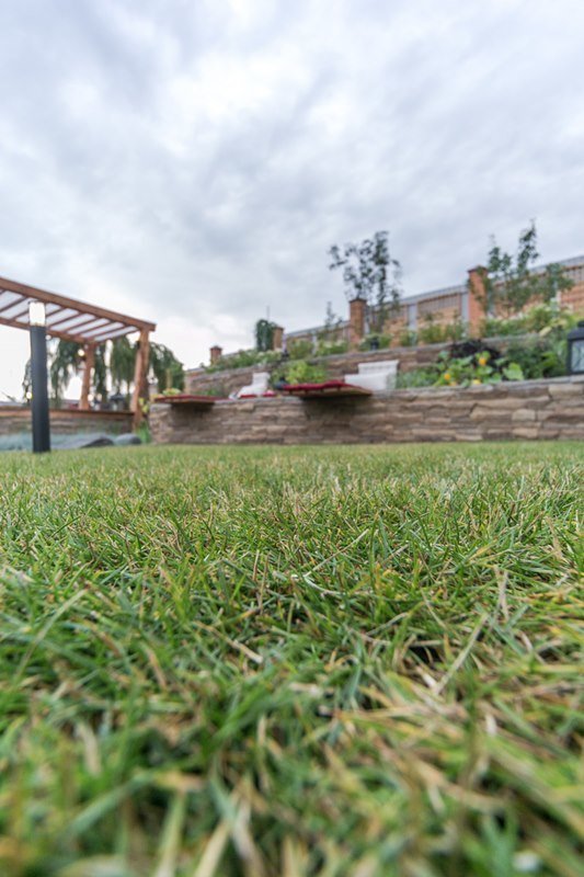 Фотография: Ландшафт в стиле Современный, Стиль жизни, Дачный ответ – фото на INMYROOM Фотография: Ландшафт в стиле Современный, Стиль жизни, Дачный ответ – фото на INMYROOM