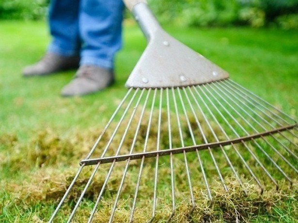 Фотография: в стиле , Ландшафт, Советы, Дом и дача, Татьяна Крамская – фото на INMYROOM