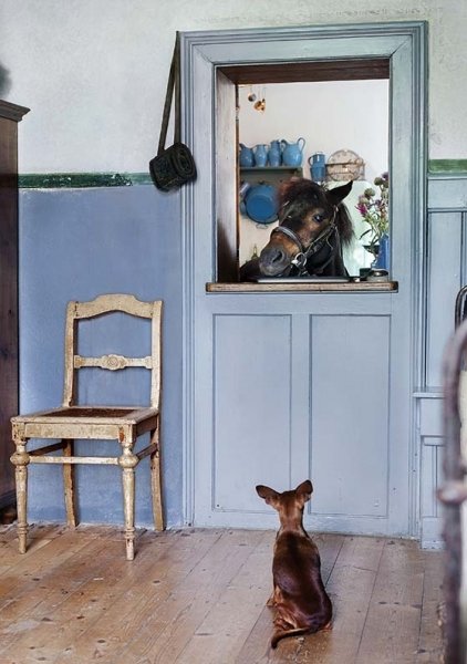 Фотография: Прихожая в стиле Прованс и Кантри, Дом, Дом и дача – фото на INMYROOM Фотография: Прихожая в стиле Прованс и Кантри, Дом, Дом и дача – фото на INMYROOM