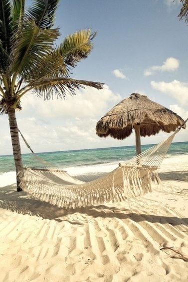 Фотография: Ландшафт в стиле Прованс и Кантри, Современный – фото на INMYROOM