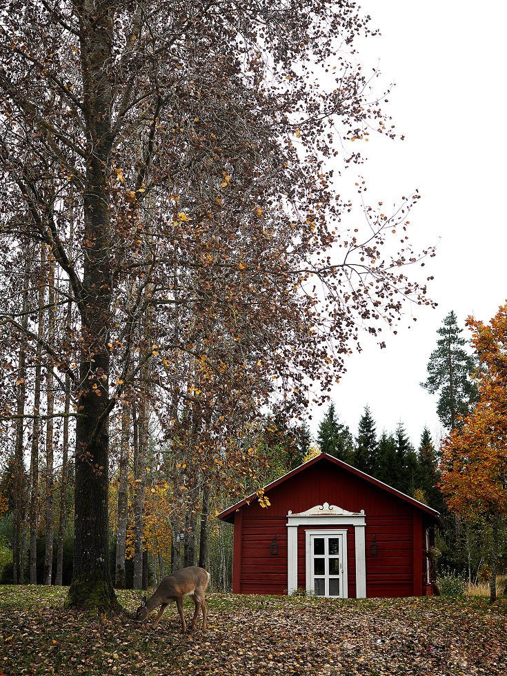 Фотография: в стиле , – фото на INMYROOM